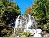 Amicalola Falls State Park